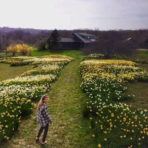 Meet your Posher, Sara